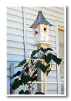 birdhouse photo