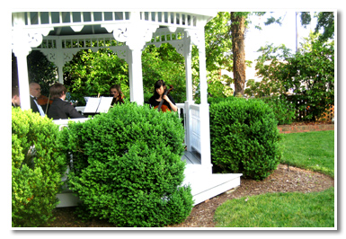 wedding musicians